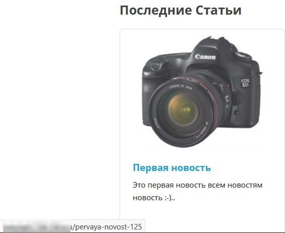 пример работы сео во встроенном блоге